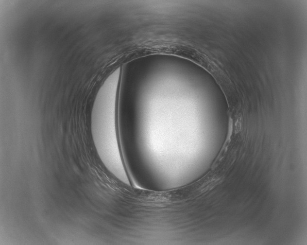 X0000079331156200611170949