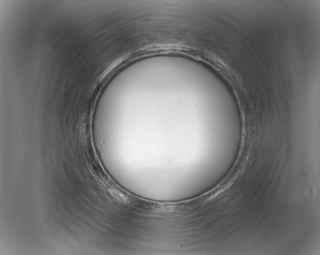 X0000079331162200611170949