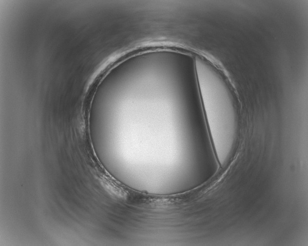 X0000079331167200611170949