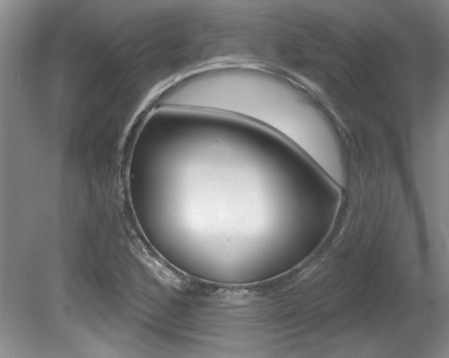 X0000079331168200611170949
