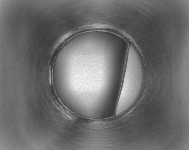 X0000079331171200611170948