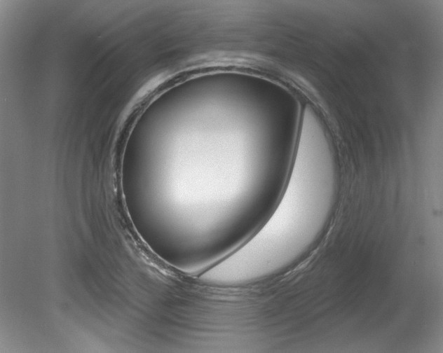X0000079331172200611170948