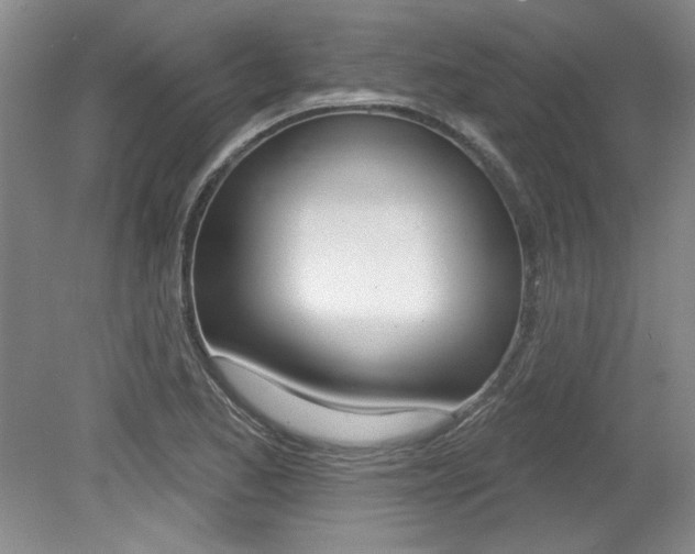X0000079331173200611170948