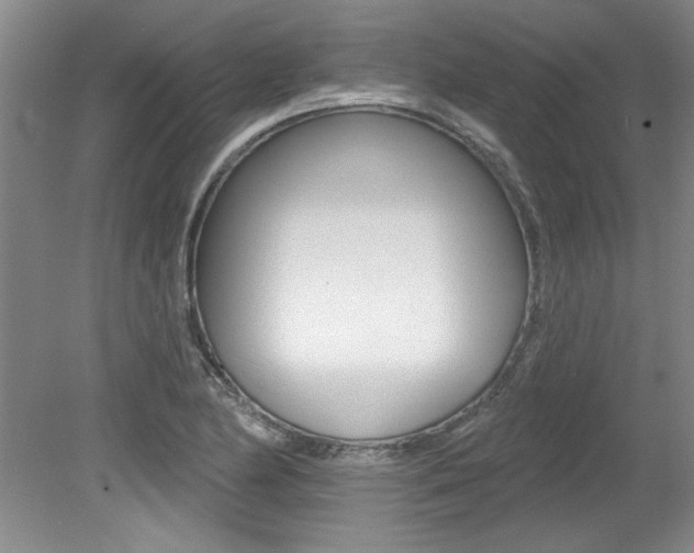 X0000079331174200611170948