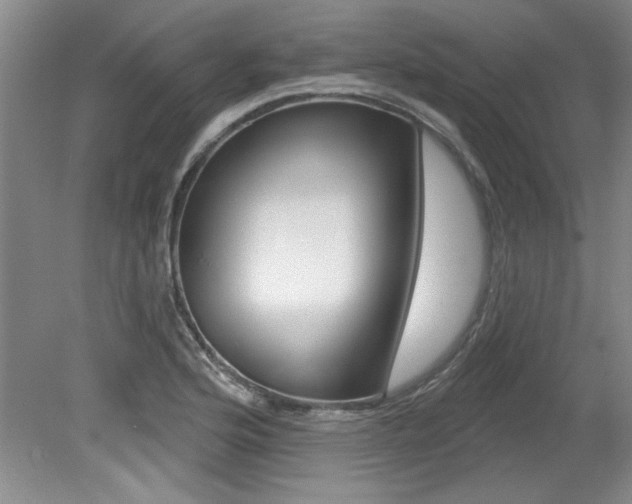 X0000079331176200611170948