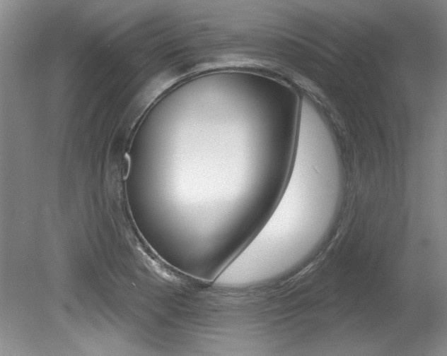 X0000079331177200611170948