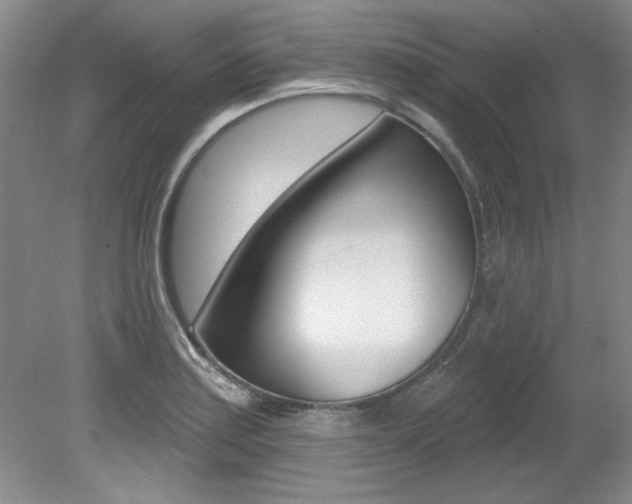 X0000079331179200611170948