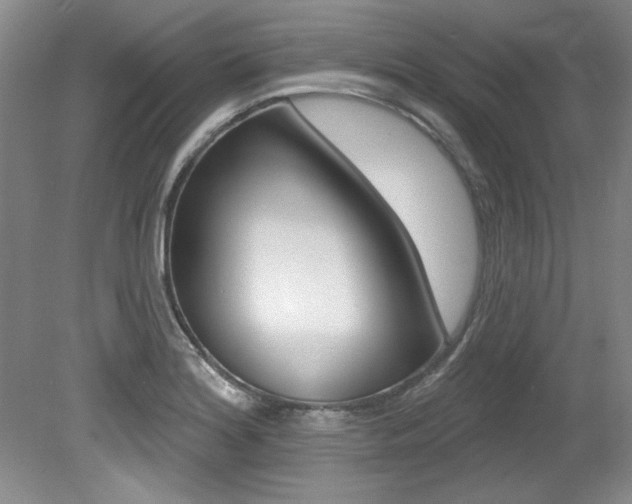 X0000079331180200611170948