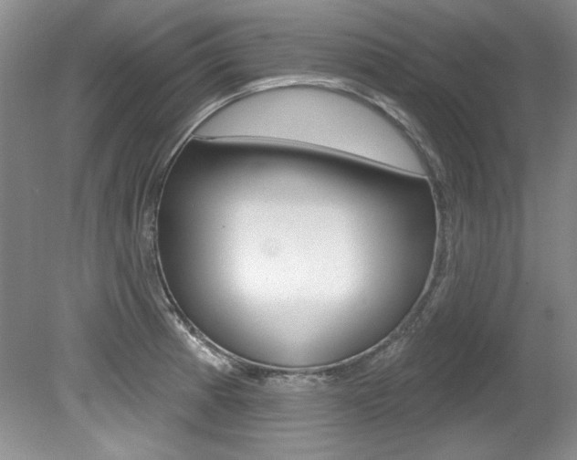 X0000079331185200611170948