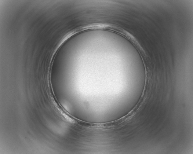 X0000079331186200611170948