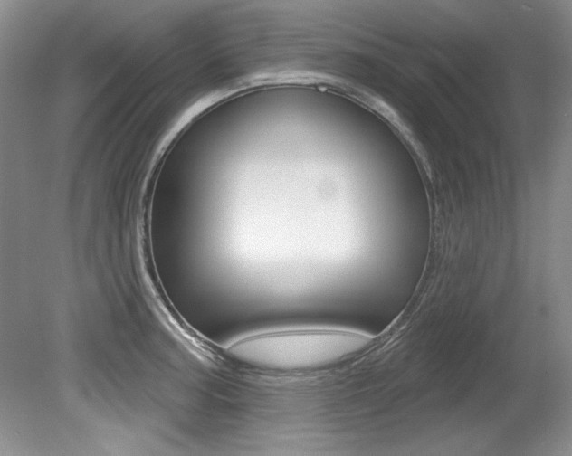 X0000079331187200611170948