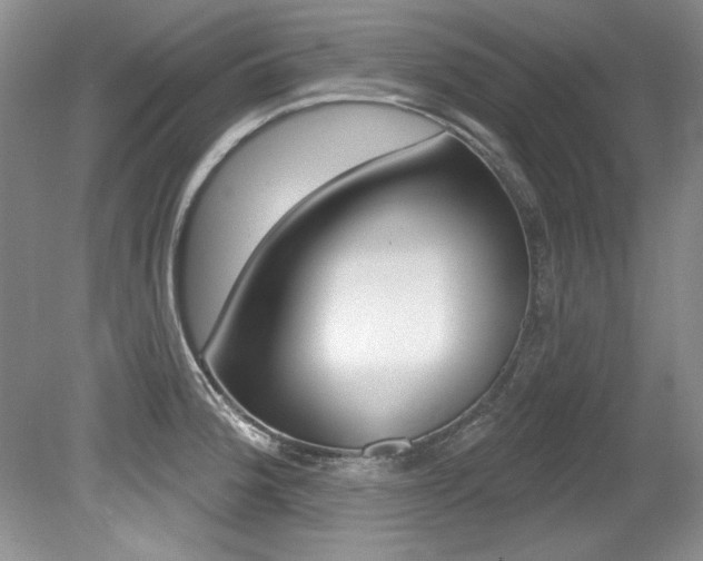 X0000079331188200611170948