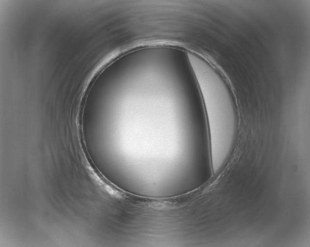 X0000079331189200611170948