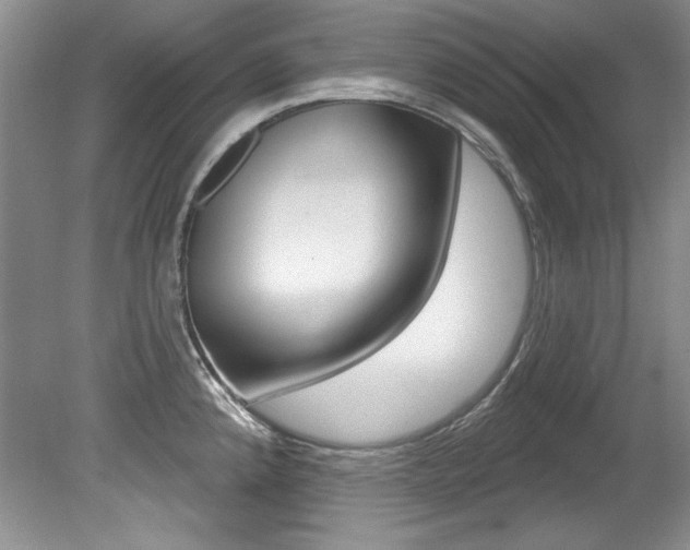 X0000079331192200611170948