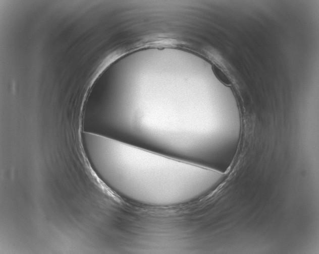 X0000079331194200611170948