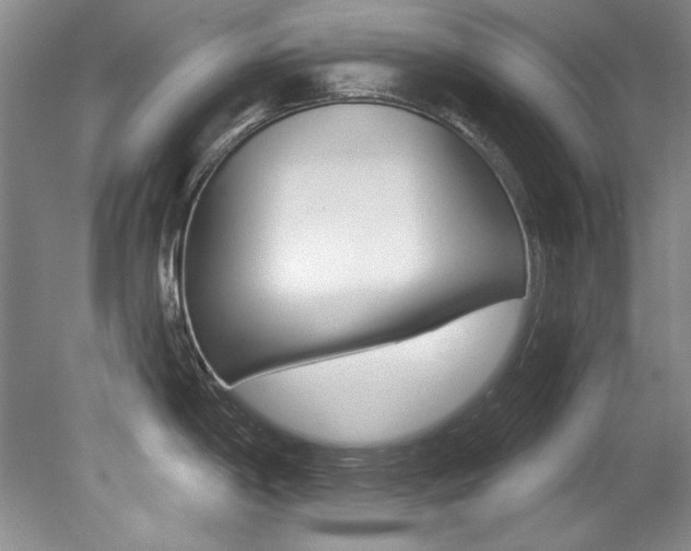 X0000079331198200611170948