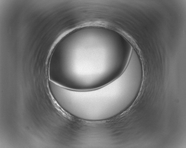 X0000079331200200611170948