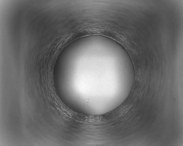 X0000079331201200611170947