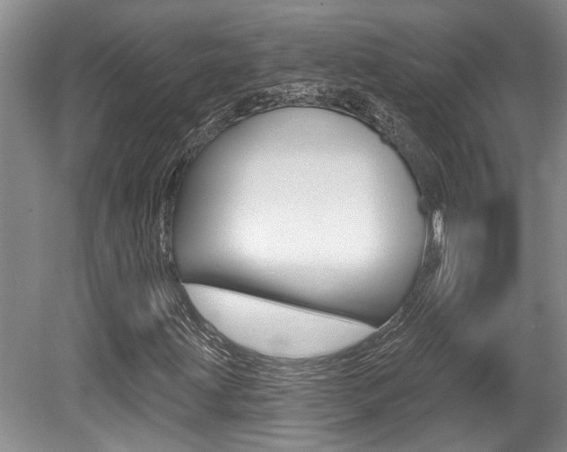 X0000079331203200611170947