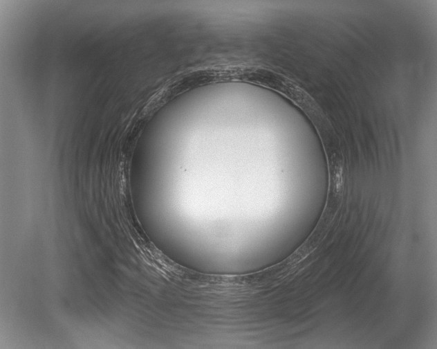 X0000079331204200611170947