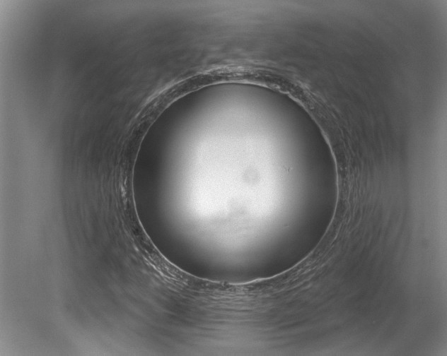 X0000079331206200611170947