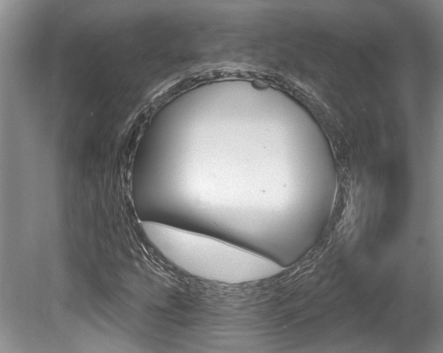 X0000079331207200611170947