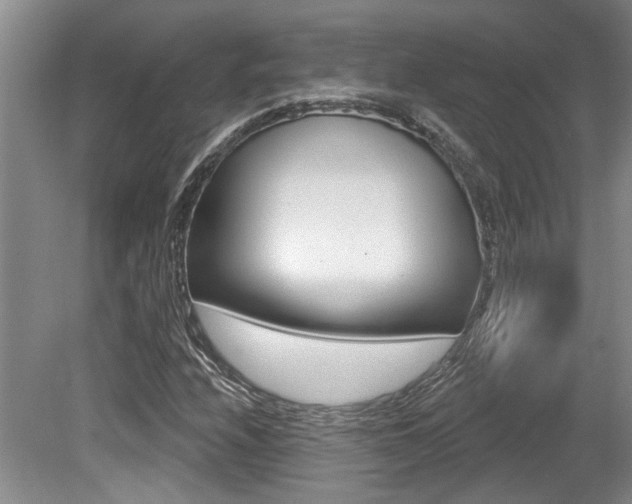 X0000079331208200611170947