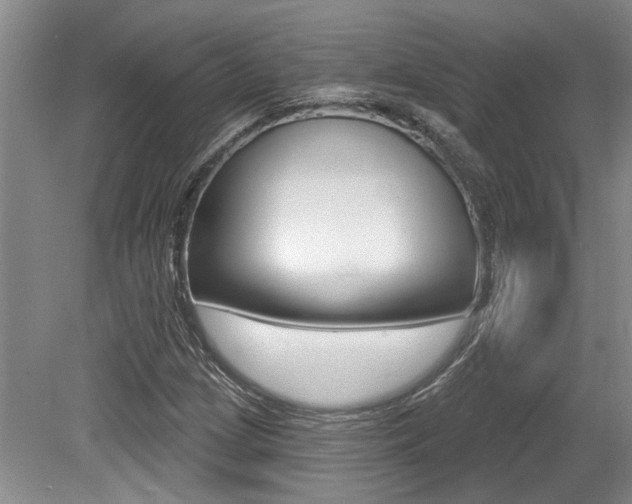 X0000079331209200611170947
