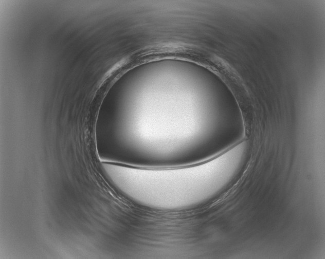 X0000079331210200611170947