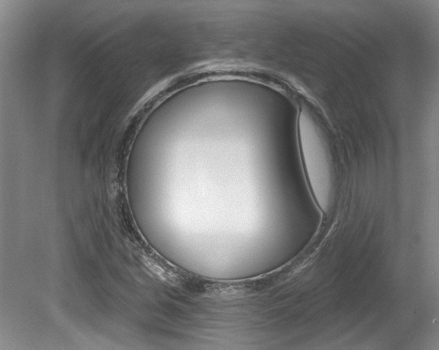 X0000079331213200611170947