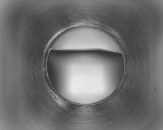 X0000079331216200611170947