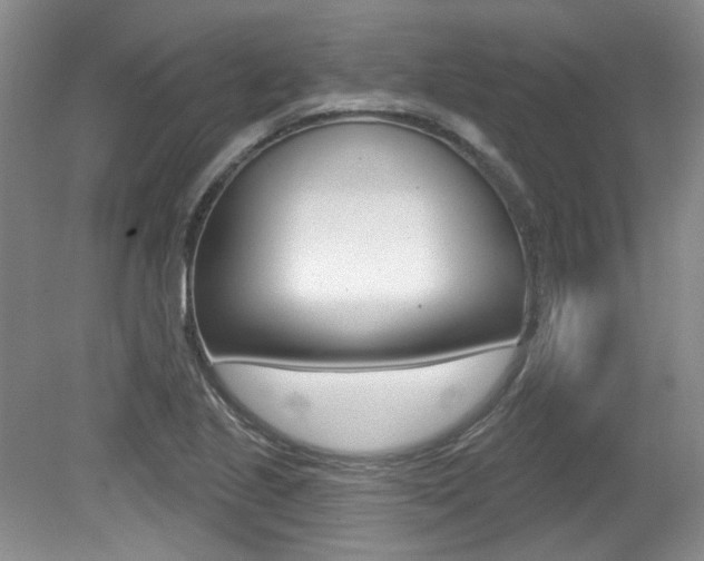 X0000079331221200611170948