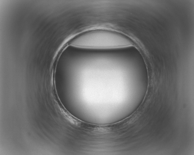 X0000079331224200611170948