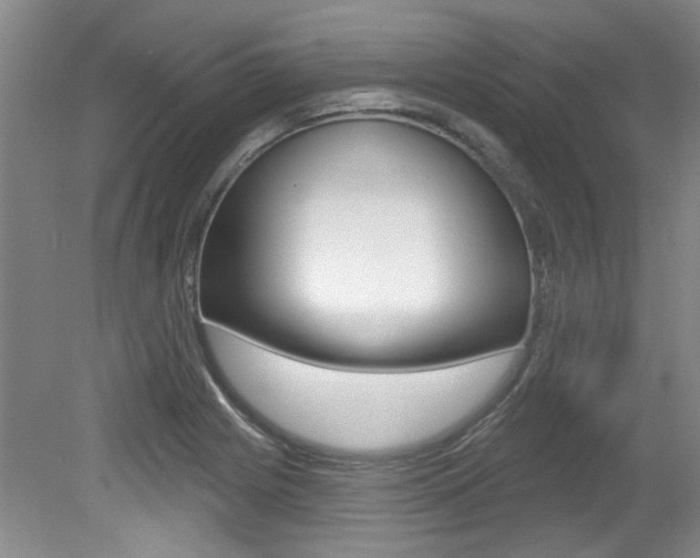X0000079331225200611170948