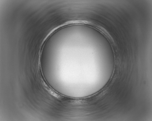 X0000079331228200611170948