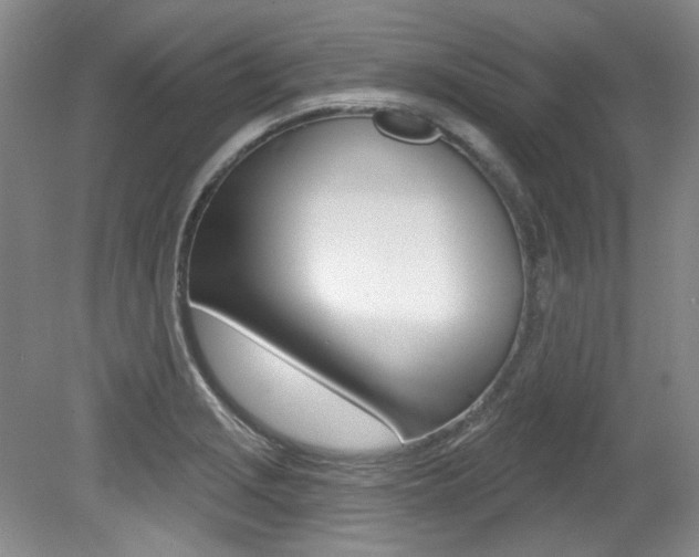X0000079331229200611170948