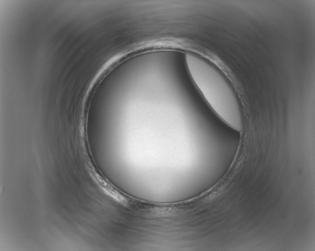 X0000079331232200611170948