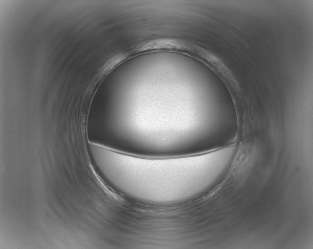 X0000079331233200611170948