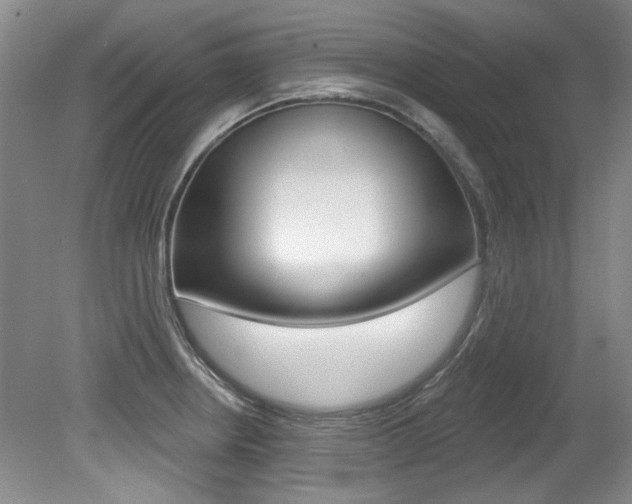 X0000079331234200611170948
