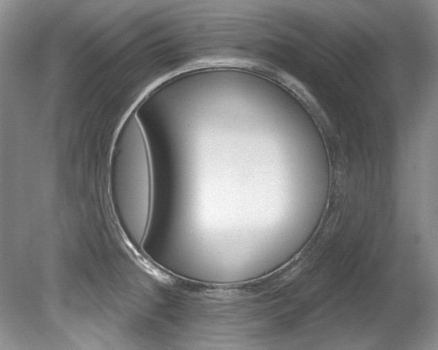 X0000079331236200611170948