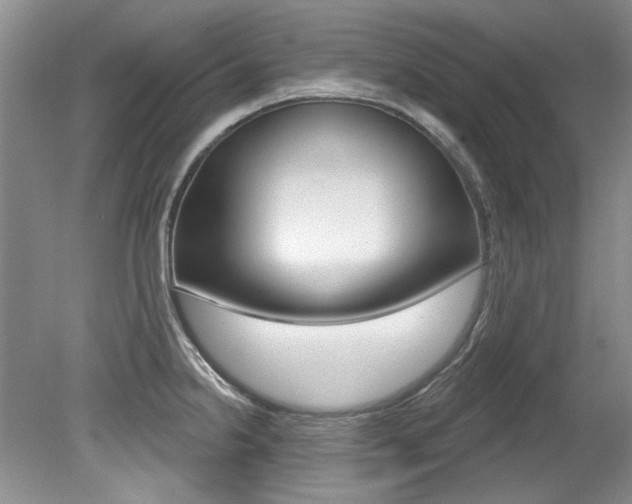 X0000079331238200611170948