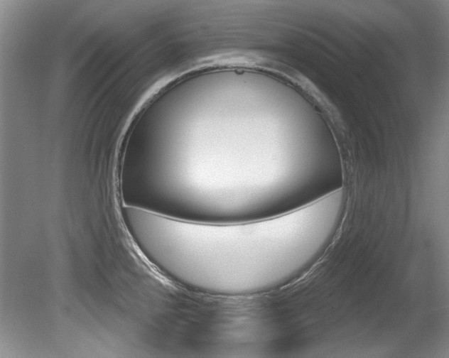 X0000079331240200611170948