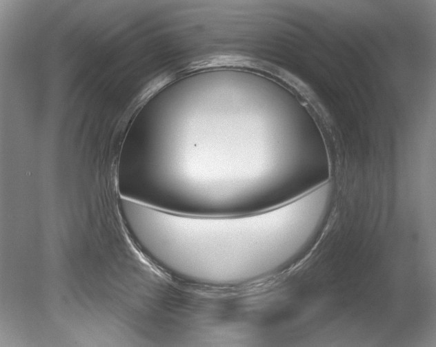 X0000079331241200611170948