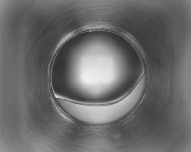 X0000079331242200611170948