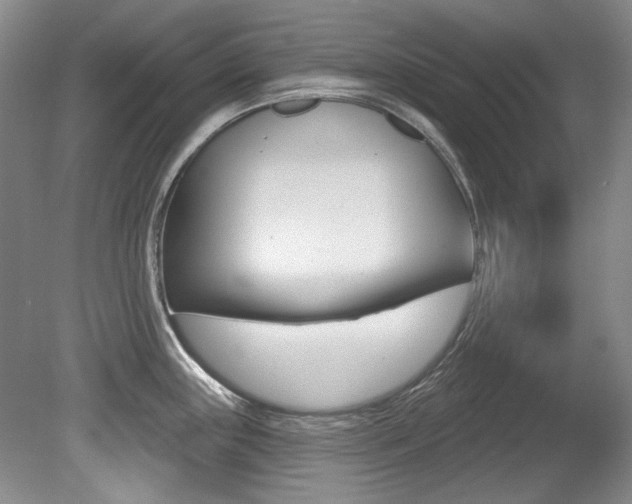 X0000079331243200611170948
