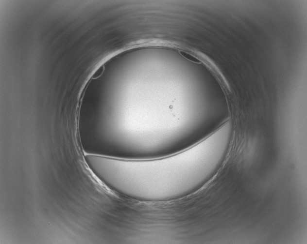 X0000079331244200611170948