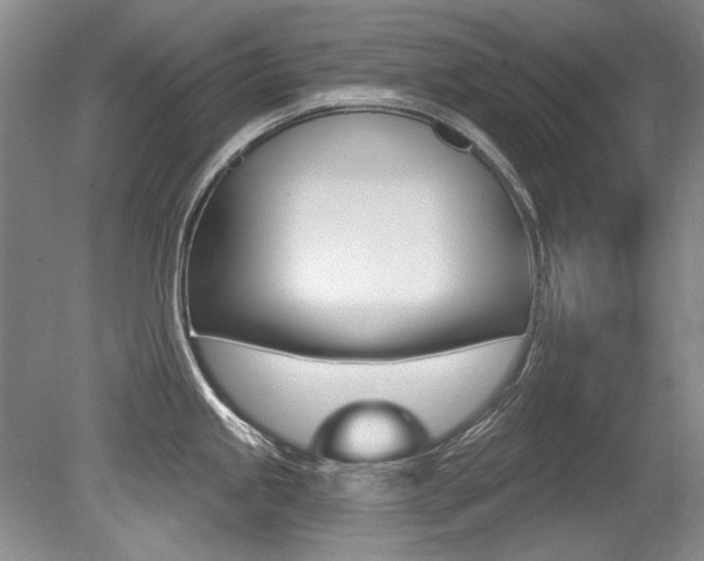 X0000079331245200611170948