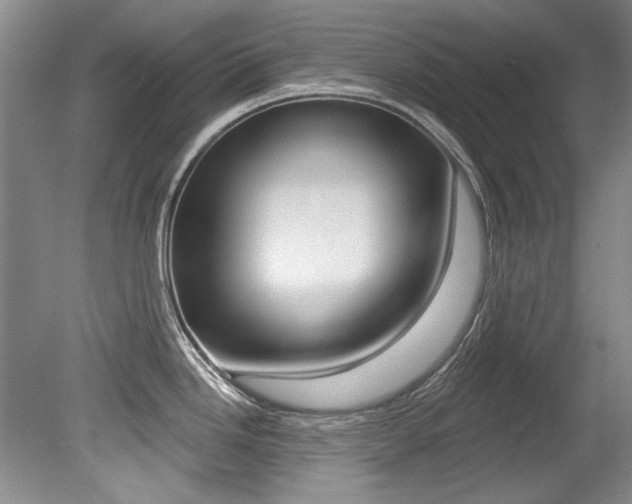 X0000079331246200611170948