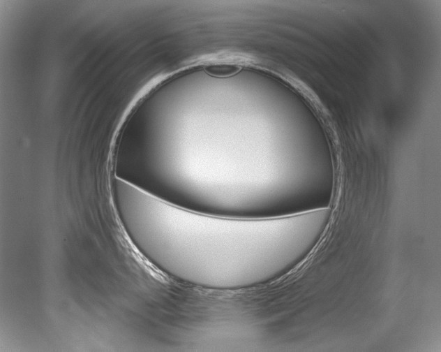 X0000079331248200611170948