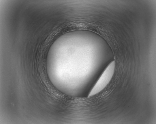 X0000079331249200611170947
